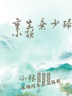 重生弃少归来 小说