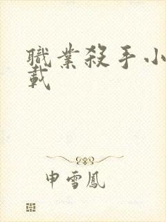 职业杀手小说下载