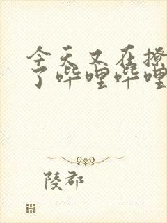 今天又在撩后妈了哔哩哔哩小说