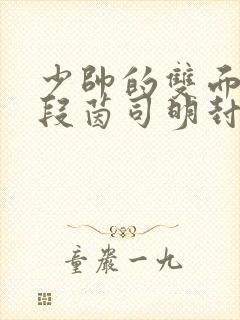 少帅的双面宠妻段茵司明封免费