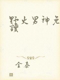 野火男神免费阅读