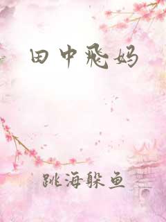 田中飞妈