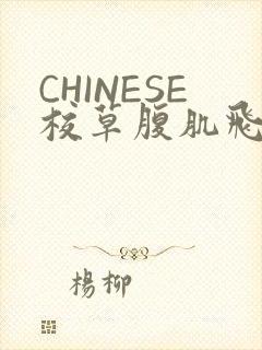 CHINESE校草腹肌飞机视频