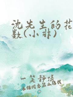 沈先生的花式调数(小非)