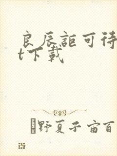 良辰讵可待txt下载