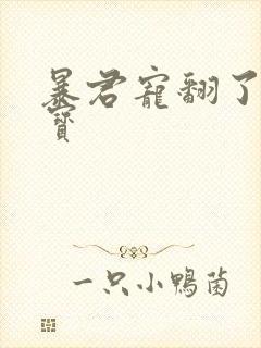 暴君宠翻了小娇宝