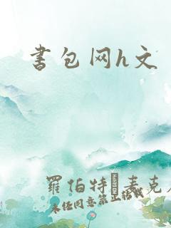 书包网h文