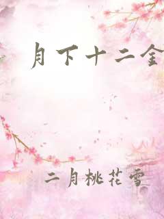 月下十二金钗