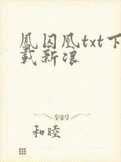 凤囚凰txt下载新浪