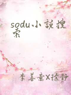 sodu小说搜索