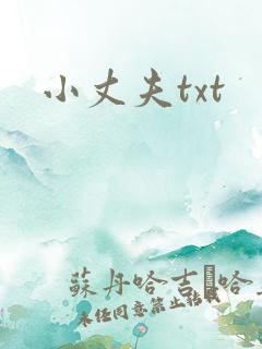 小丈夫txt