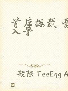 首席总裁 爱你入骨