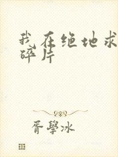 我在绝地求生捡碎片