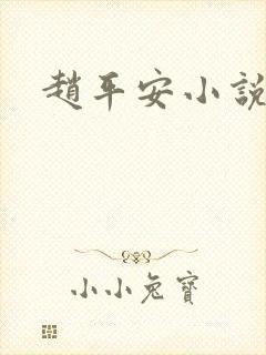 赵平安小说主角