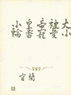 小皇帝被大臣们轮番宠爱小说