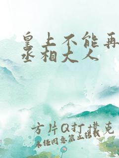 皇上不能再进了丞相大人