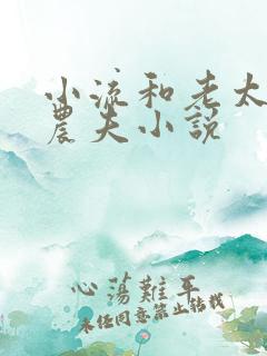 小流和老太69农夫小说