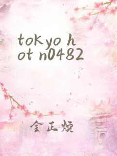 tokyo hot n0482