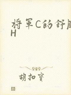 将军C的舒服么H