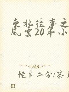 东北往事之黑道风云20年小说