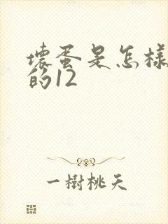 坏蛋是怎样炼成的12