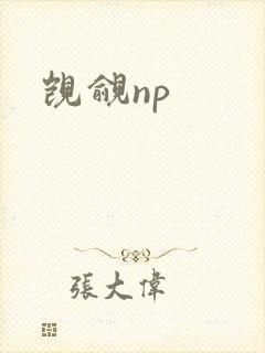 觊觎np