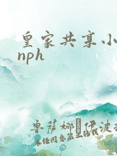 皇家共享小公主nph