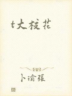 t大校花