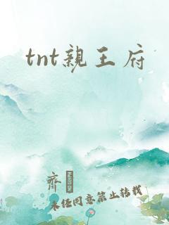 tnt亲王府