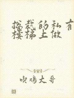 总裁的私有宝贝楼梯上做