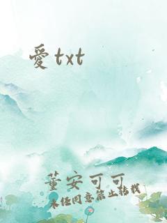 爱txt