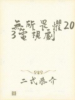 无所畏惧2023电视剧