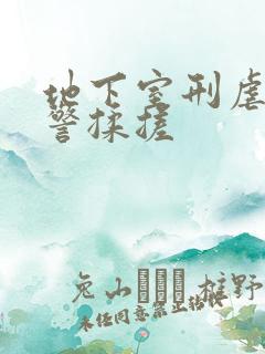 地下室刑虐女刑警揉搓