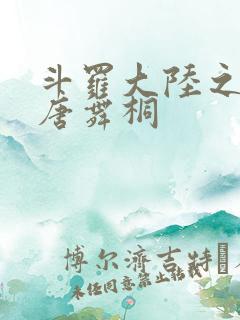 斗罗大陆之肉奴唐舞桐