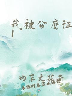 我被公么征服了1