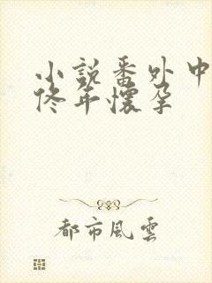 小说番外中结局佟年怀孕