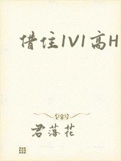 借住1V1高H