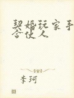 契婚玩家手册之合伙人