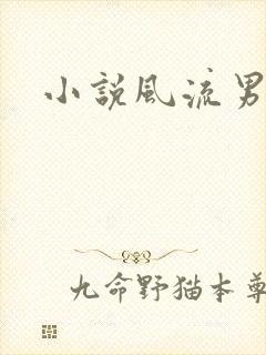 小说风流男护理