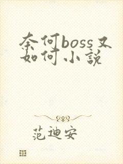 奈何boss又如何小说