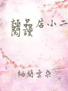 极品店小二全文阅读
