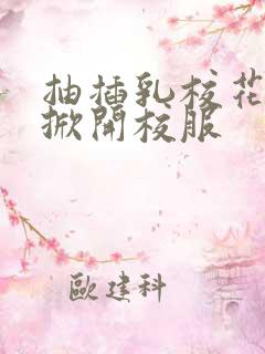 抽插乳校花老师掀开校服