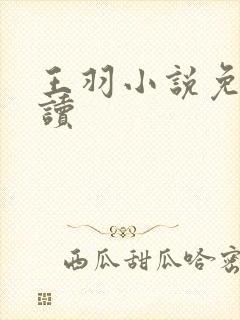 王羽小说免费阅读