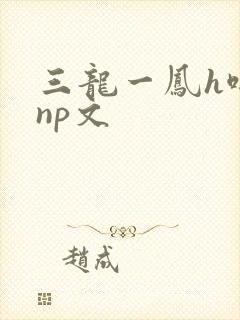 三龙一凤h啪肉np文