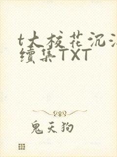 t大校花沉浮录续集TXT