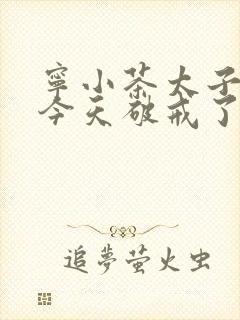 宁小茶太子殿下今天破戒了吗免费阅读