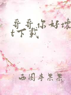 哥哥你好坏txt下载