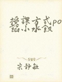 授课方式po肉馅小水饺