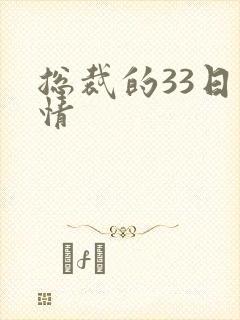 总裁的33日索情