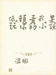 低头看我是怎么玩你的小说